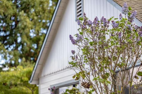 377 Maple Avenue Cotati CA 94931