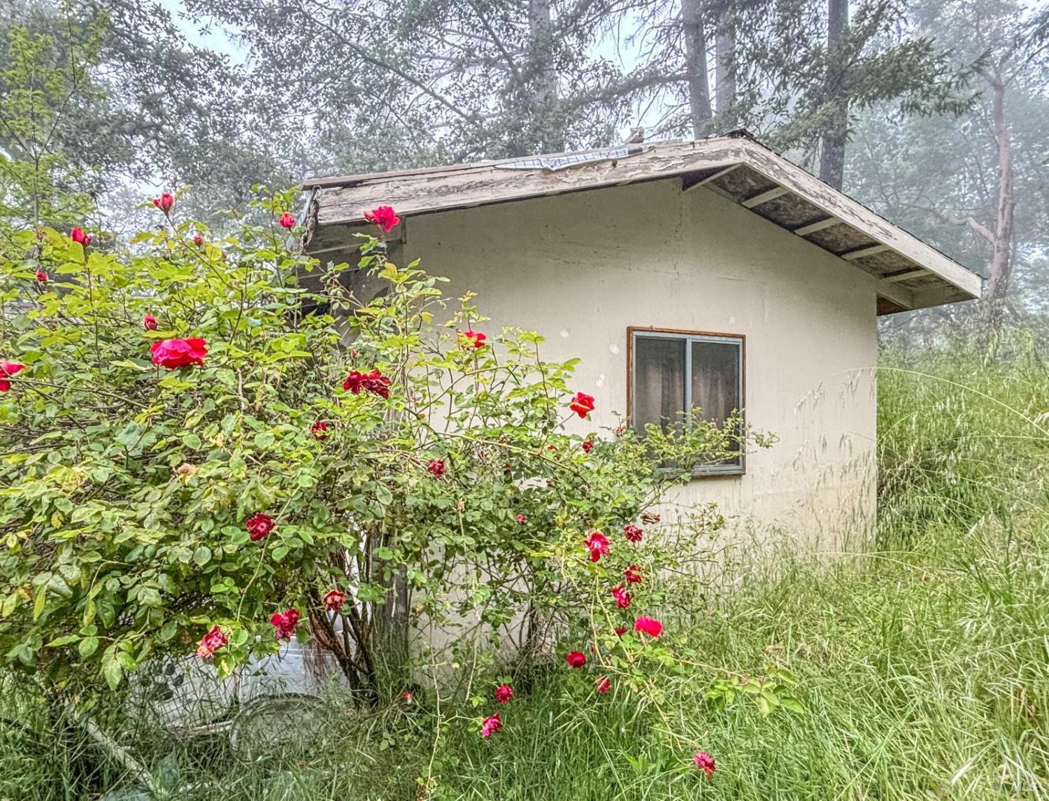 38401 Upper Road Willits CA 95490