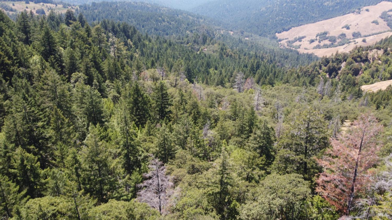38401 Upper Road Willits CA 95490