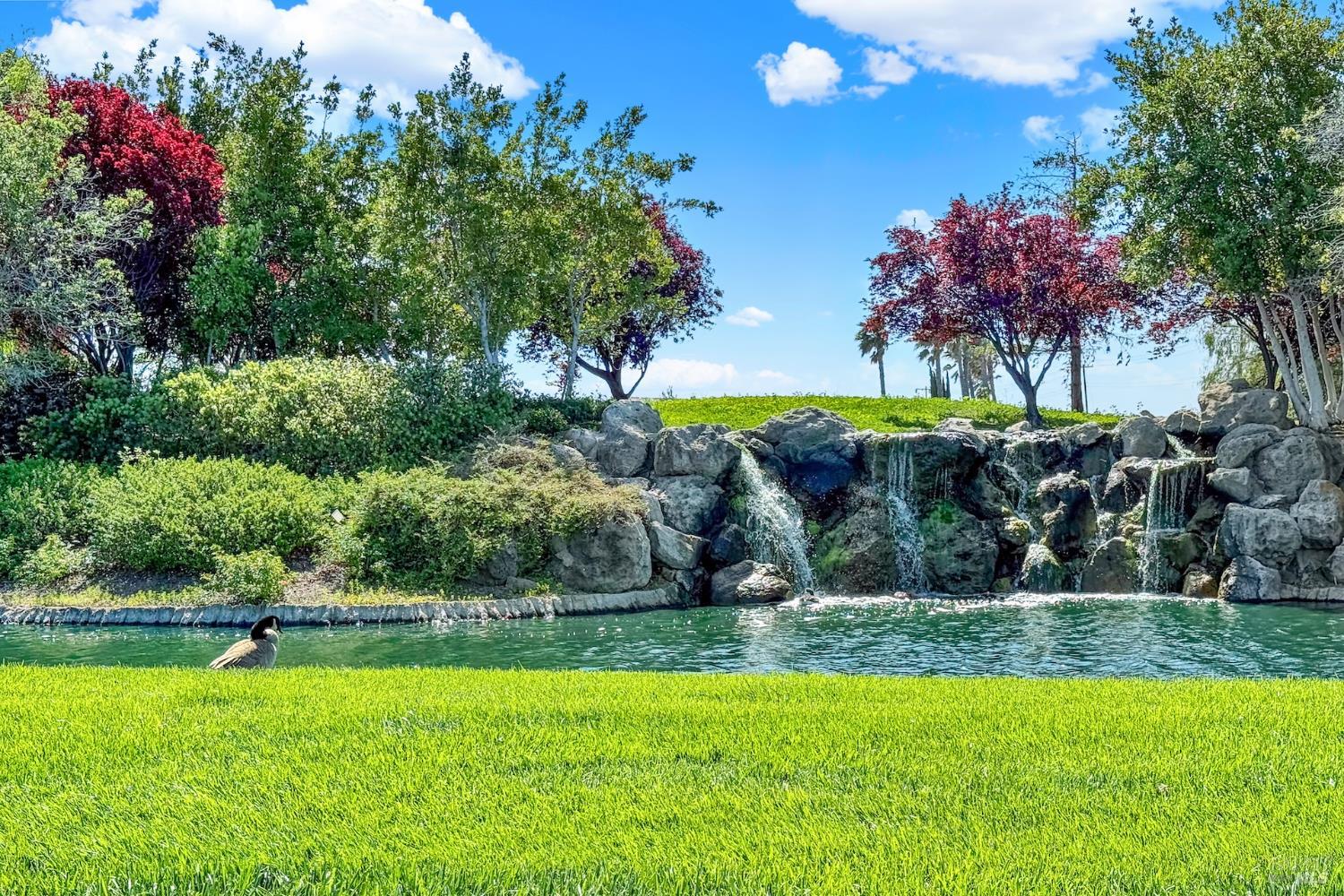 315 Mallards Gulch Drive Rio Vista CA 94571