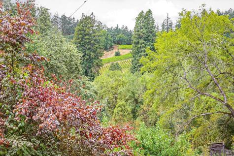 9412-9501 Westside Road Forestville CA 95436