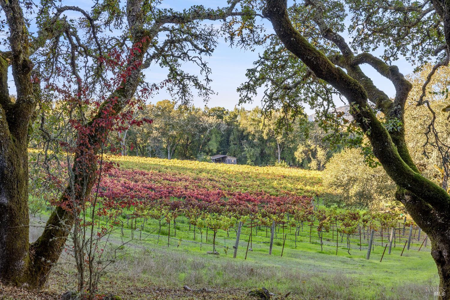 3295 Warm Springs Road Glen Ellen CA 95442