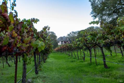 3295 Warm Springs Road Glen Ellen CA 95442