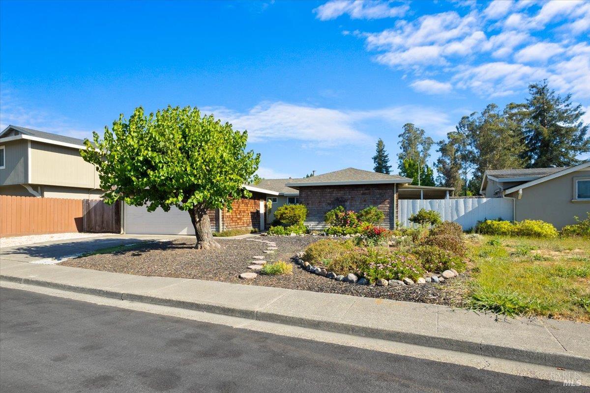 171 Alma Avenue Rohnert Park CA 94928