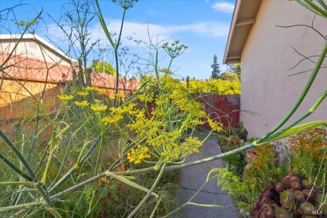 171 Alma Avenue Rohnert Park CA 94928