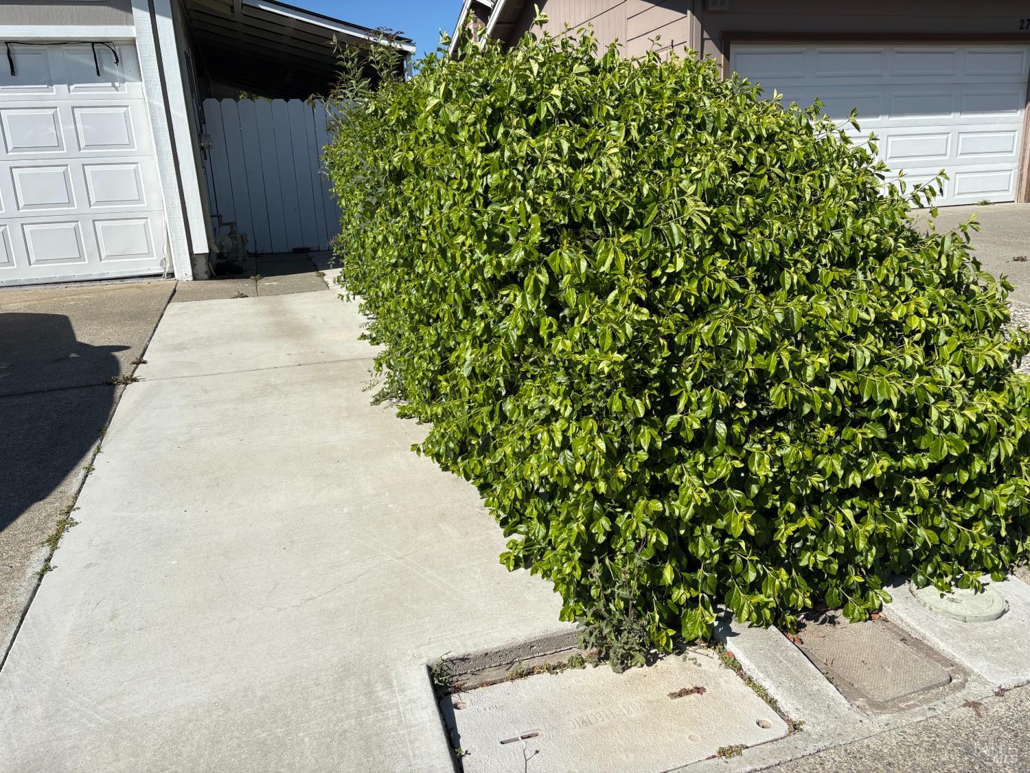 2772 Toland Drive Fairfield CA 94534