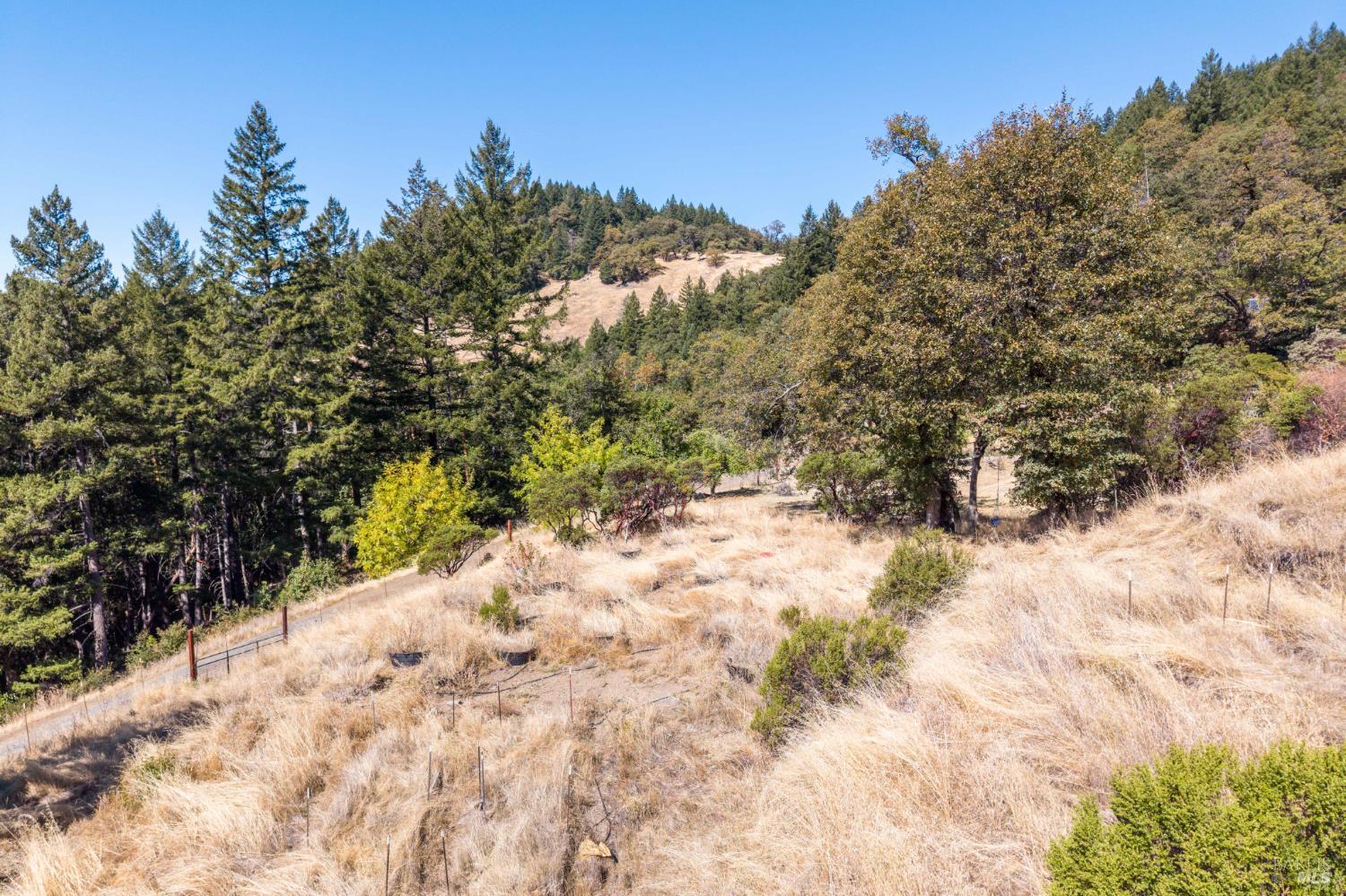 55940 Crestview Road Leggett CA 95585