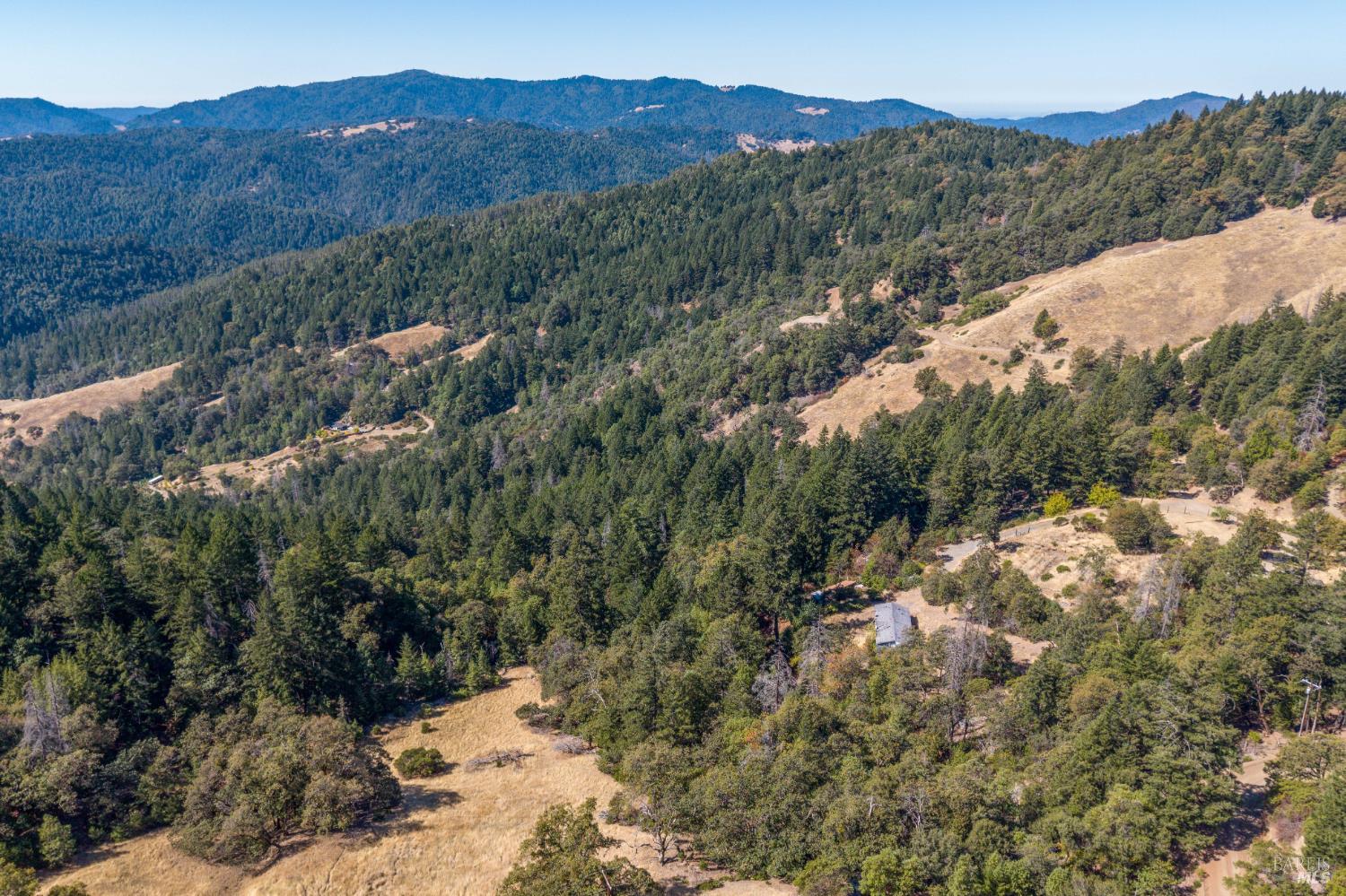 55940 Crestview Road Leggett CA 95585