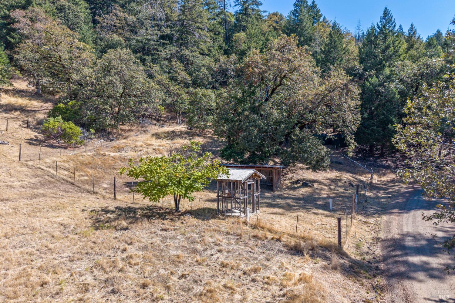 55940 Crestview Road Leggett CA 95585