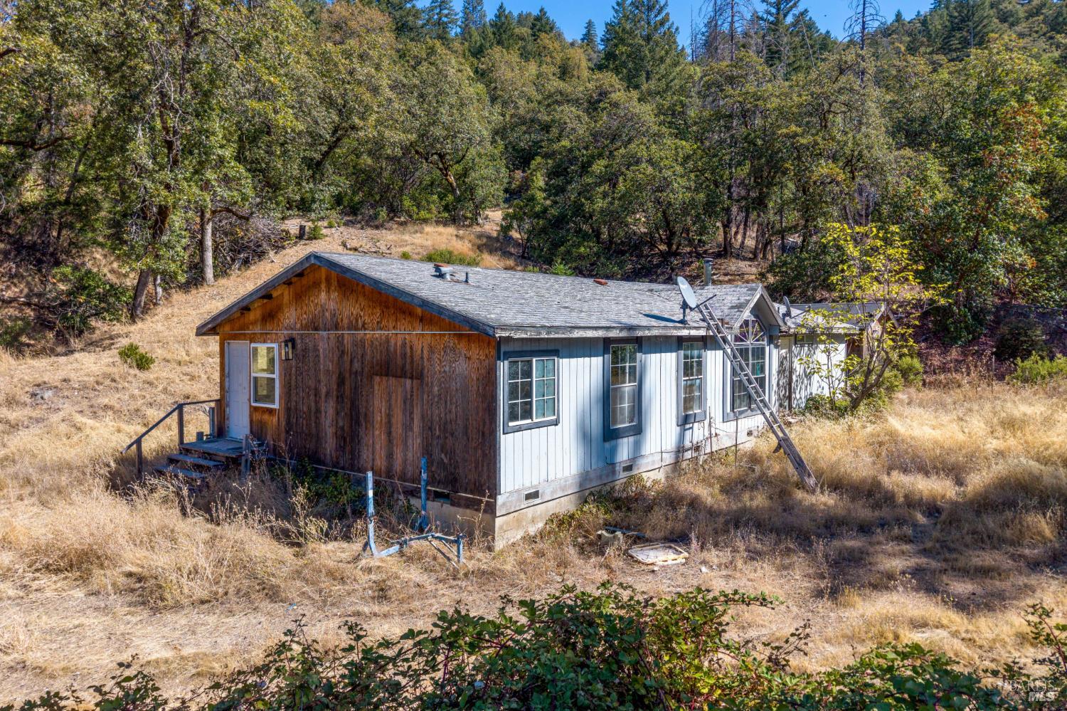 55940 Crestview Road Leggett CA 95585