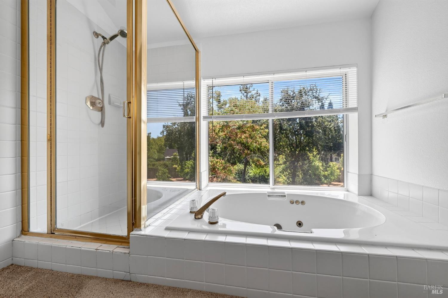 306 Whitethorn Court Windsor CA 95492