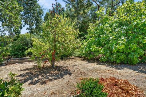 306 Whitethorn Court Windsor CA 95492