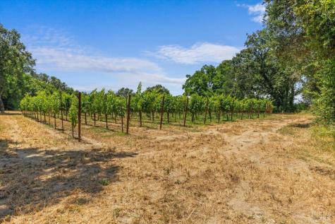 5647 Highway 128 Highway Geyserville CA 95441