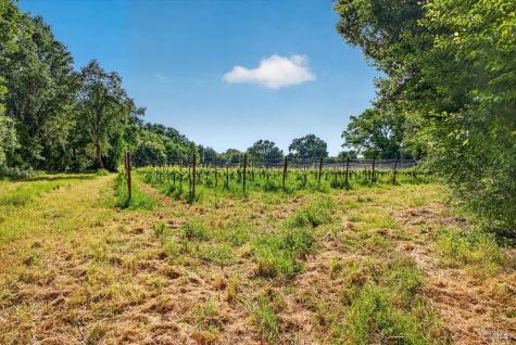 5647 Highway 128 Highway Geyserville CA 95441