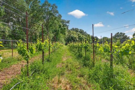 5647 Highway 128 Highway Geyserville CA 95441