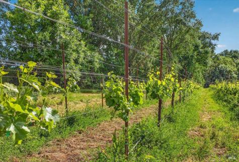 5647 Highway 128 Highway Geyserville CA 95441