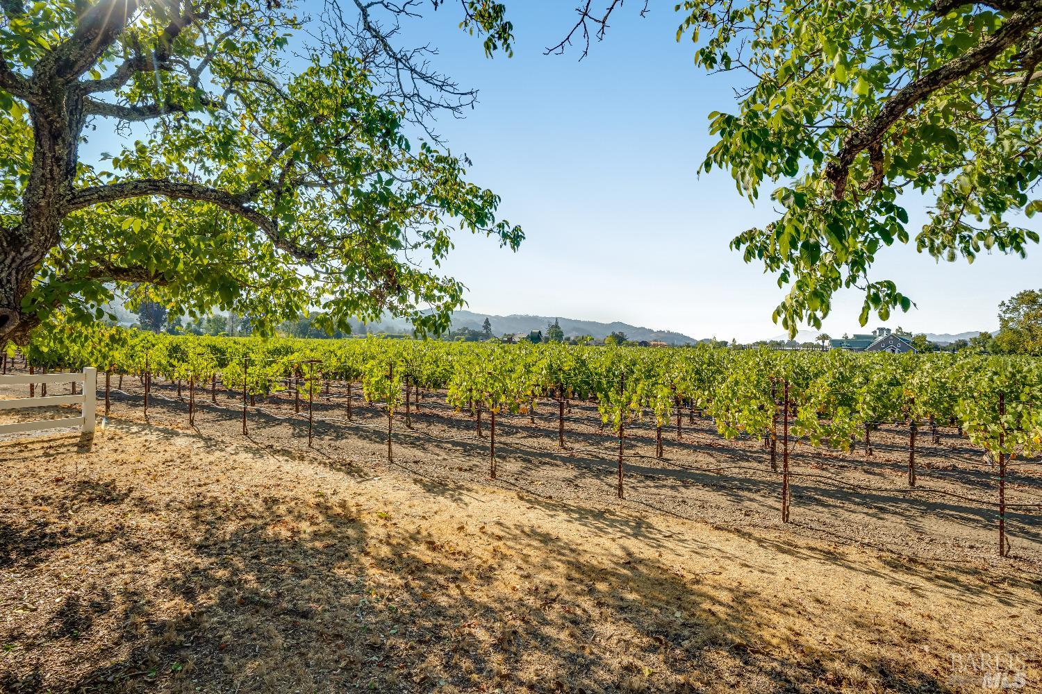 1234 Davis Lane St. Helena CA 94574