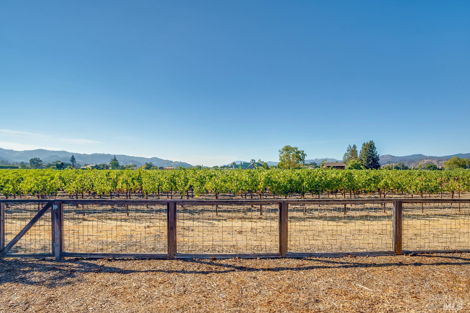 1234 Davis Lane St. Helena CA 94574
