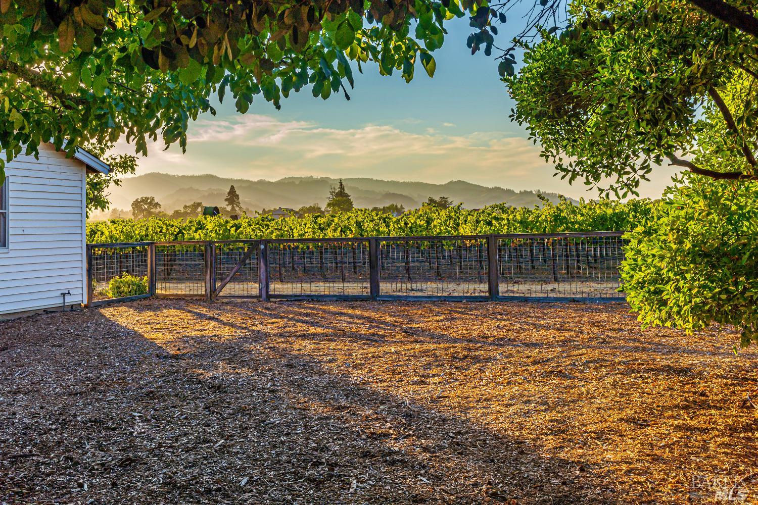 1234 Davis Lane St. Helena CA 94574