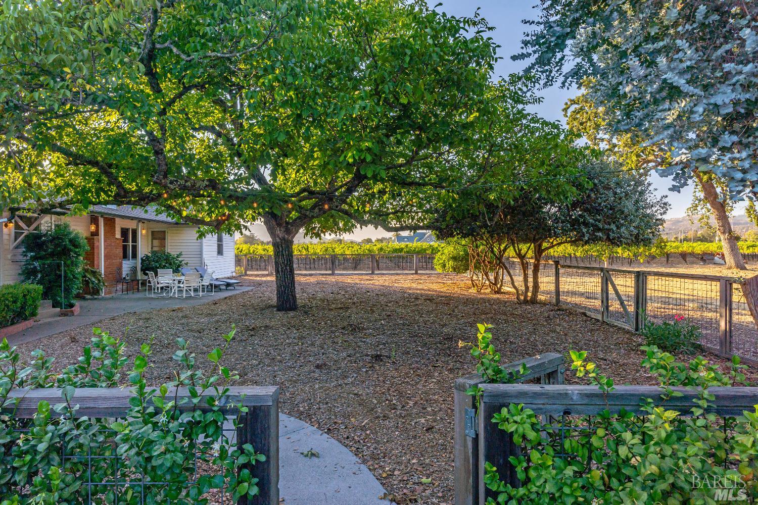 1234 Davis Lane St. Helena CA 94574