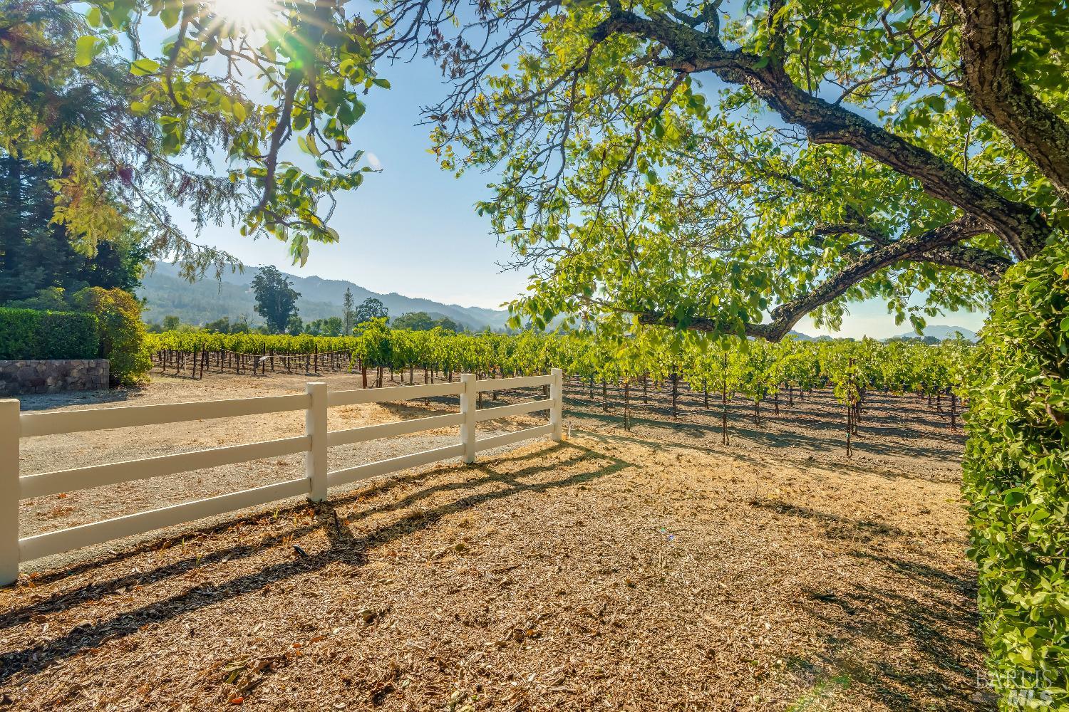 1234 Davis Lane St. Helena CA 94574