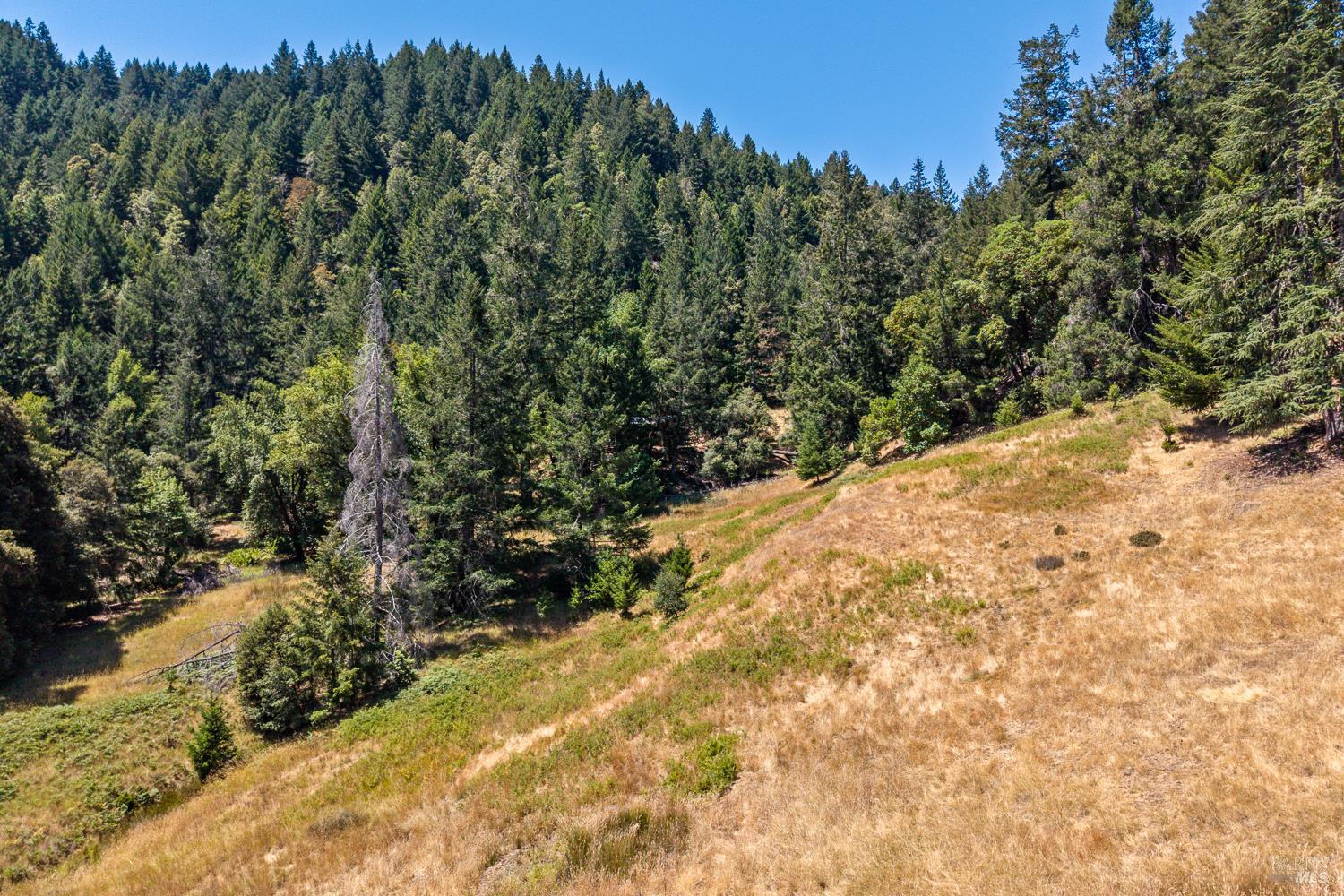19170 Monahan Creek Road Yorkville CA 95494