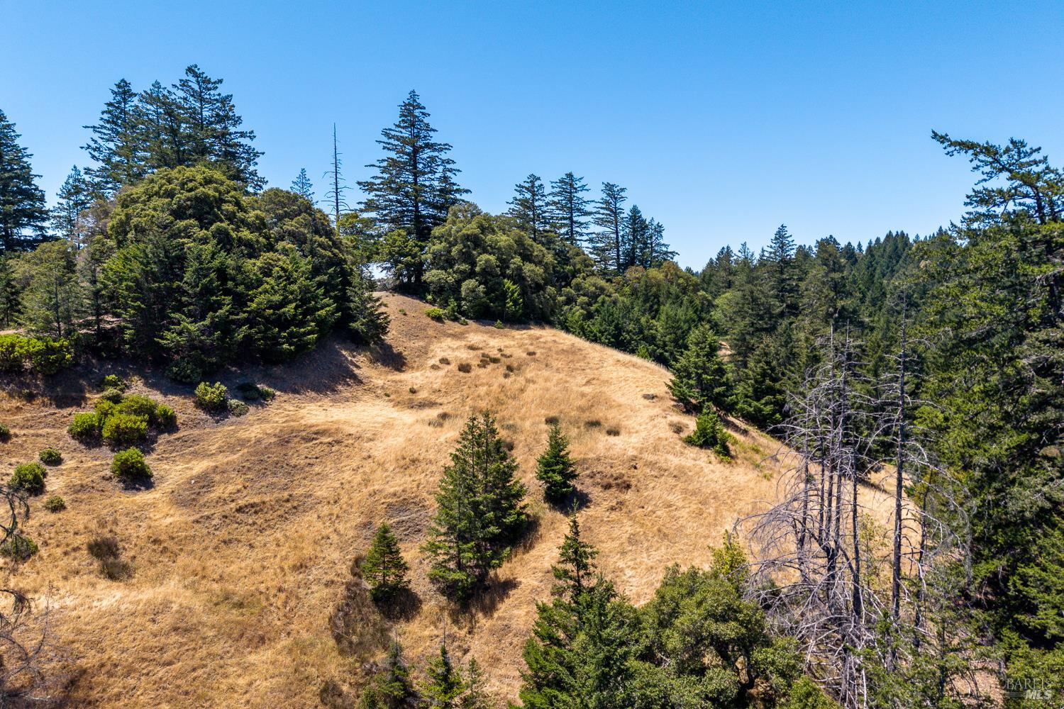 19170 Monahan Creek Road Yorkville CA 95494