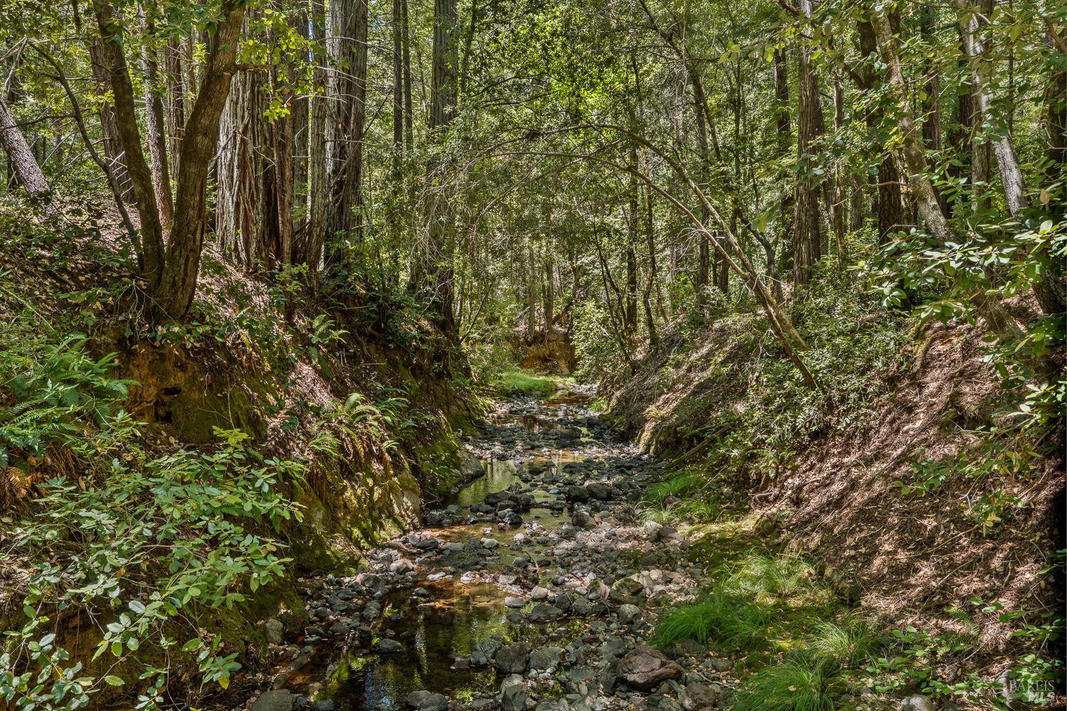 19170 Monahan Creek Road Yorkville CA 95494