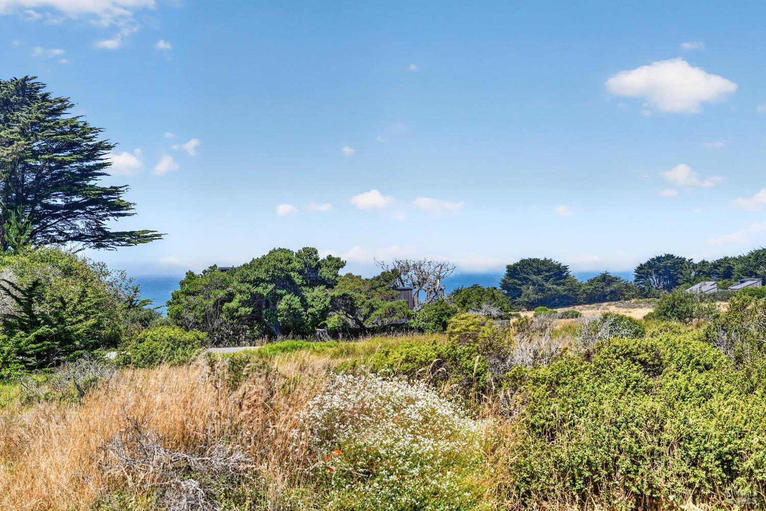 150 Black Point Close The Sea Ranch CA 95497