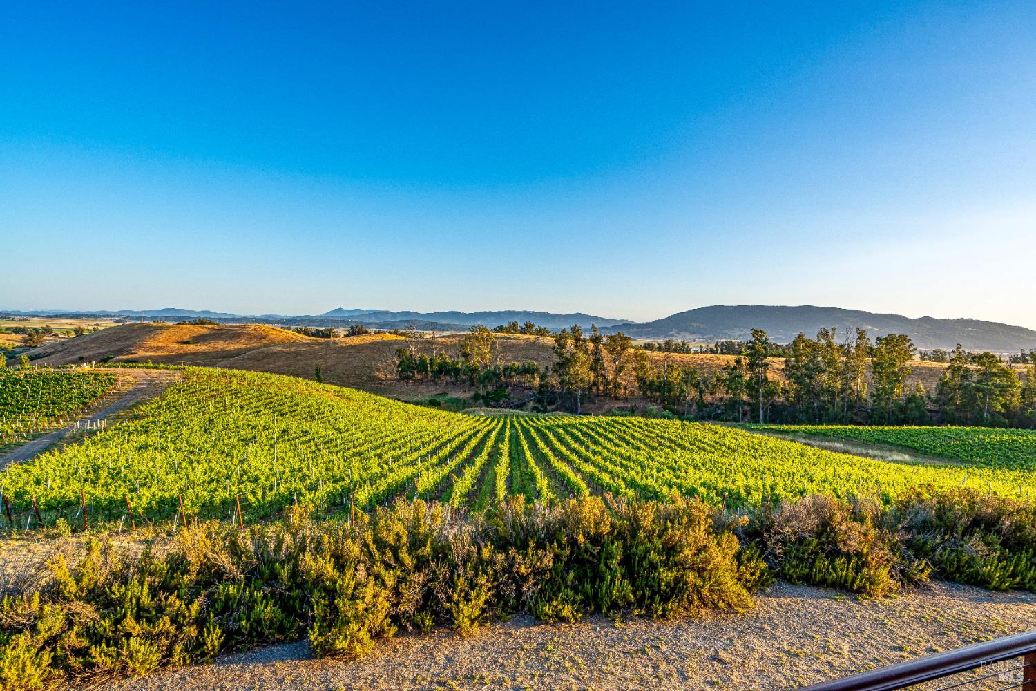 6513 Lakeville Highway Petaluma CA 94954