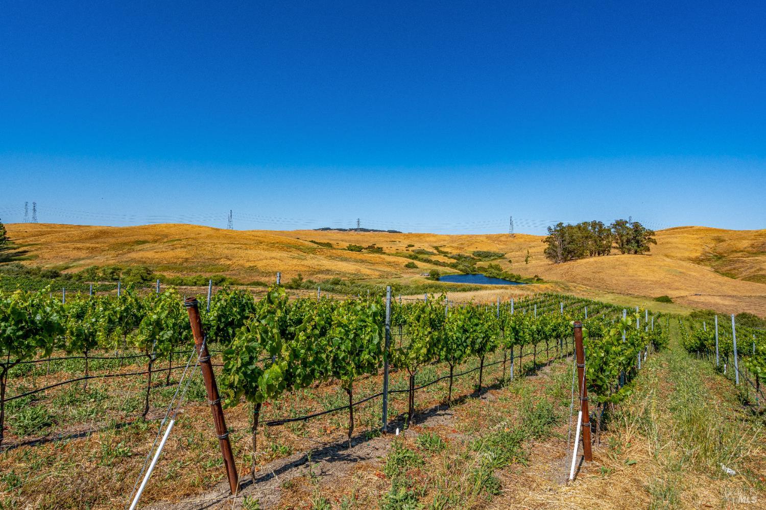 6513 Lakeville Highway Petaluma CA 94954
