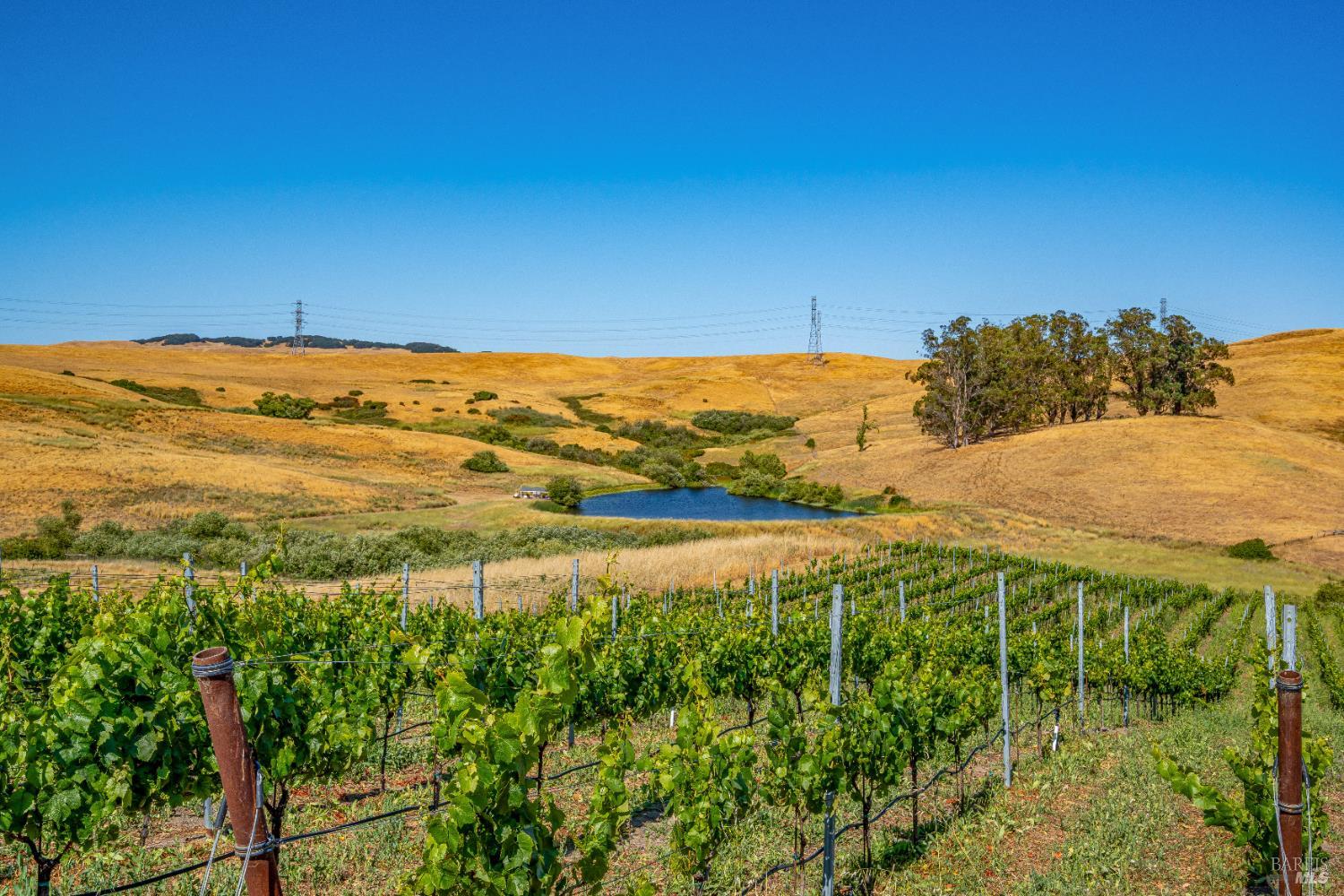 6513 Lakeville Highway Petaluma CA 94954