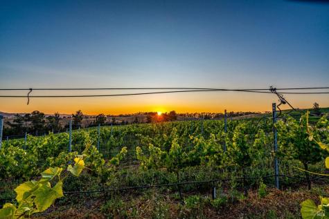 6513 Lakeville Highway Petaluma CA 94954