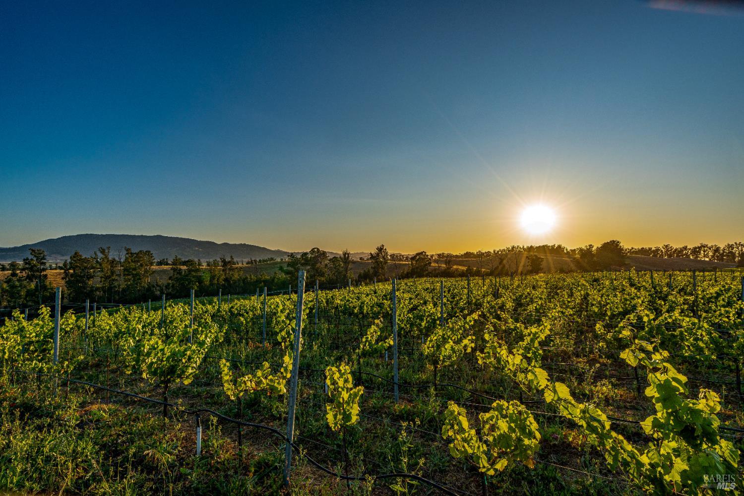 6513 Lakeville Highway Petaluma CA 94954