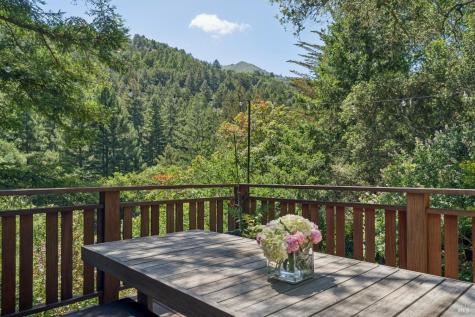 83 Hatzic Court Larkspur CA 94939