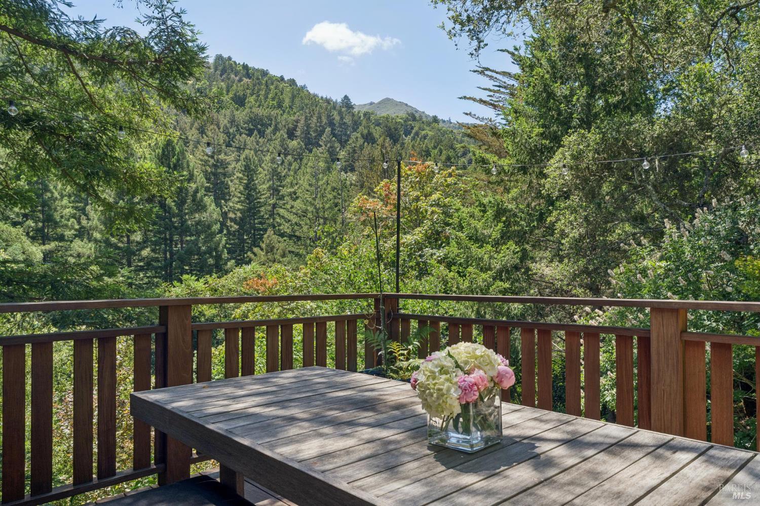 83 Hatzic Court Larkspur CA 94939