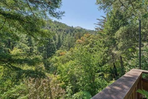 83 Hatzic Court Larkspur CA 94939