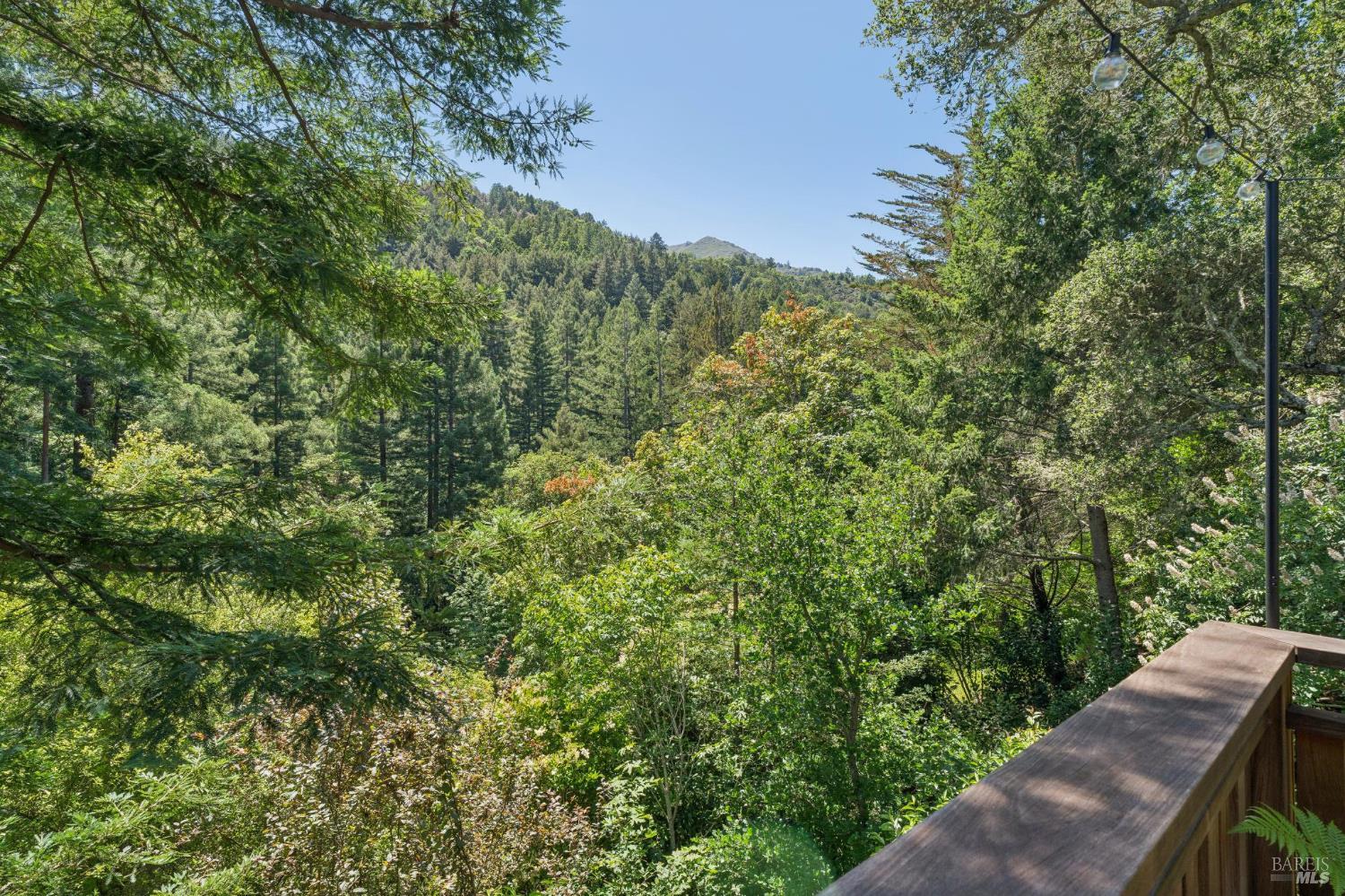 83 Hatzic Court Larkspur CA 94939