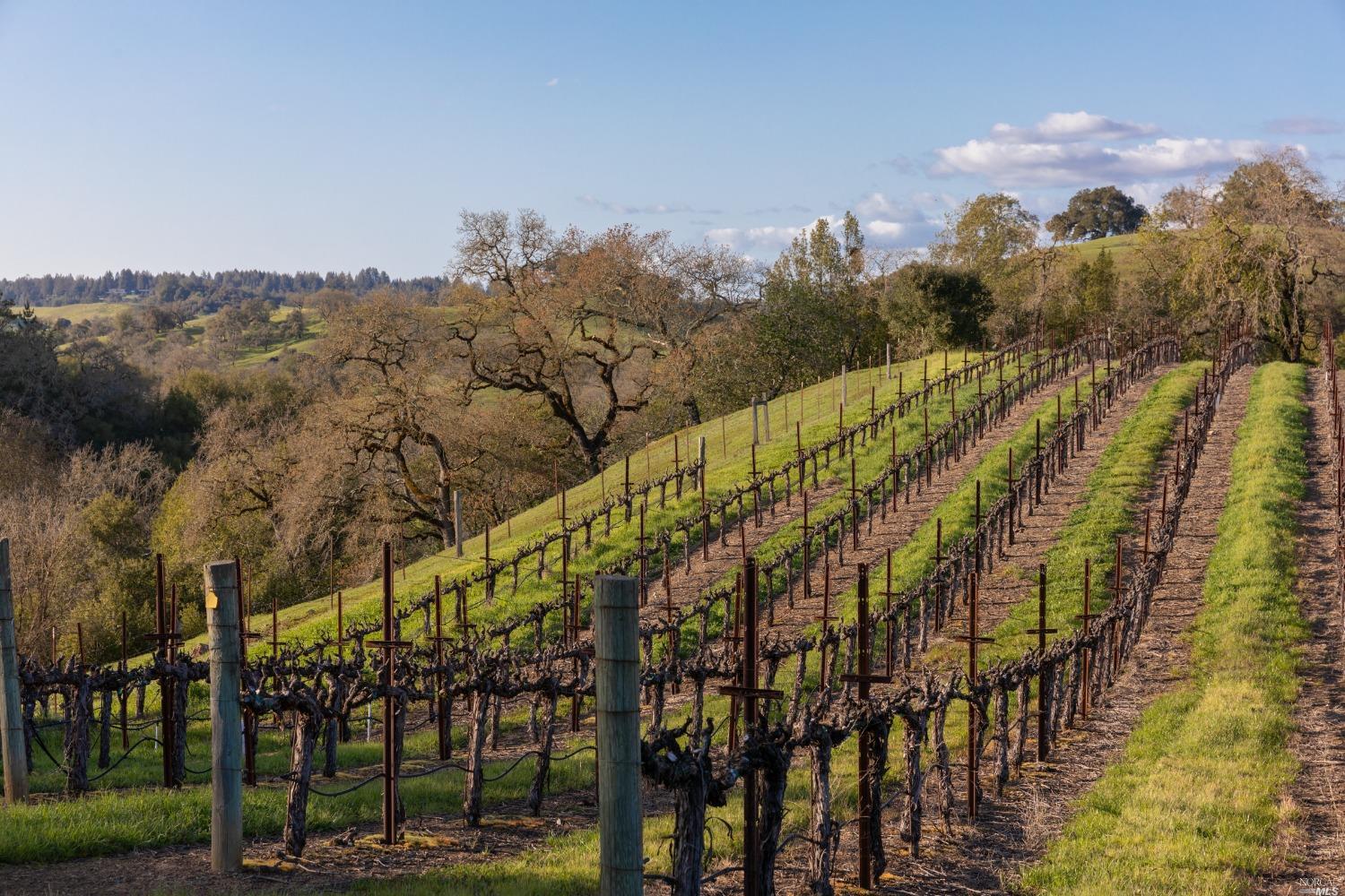 5285 Westside Road Healdsburg CA 95448