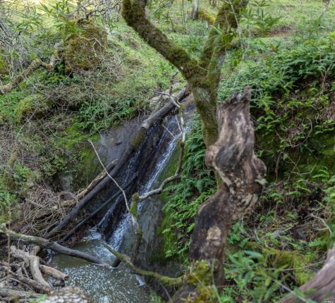 5285 Westside Road Healdsburg CA 95448