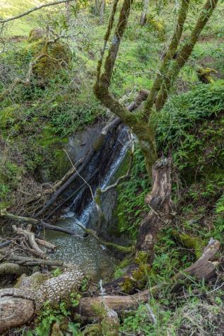 5285 Westside Road Healdsburg CA 95448