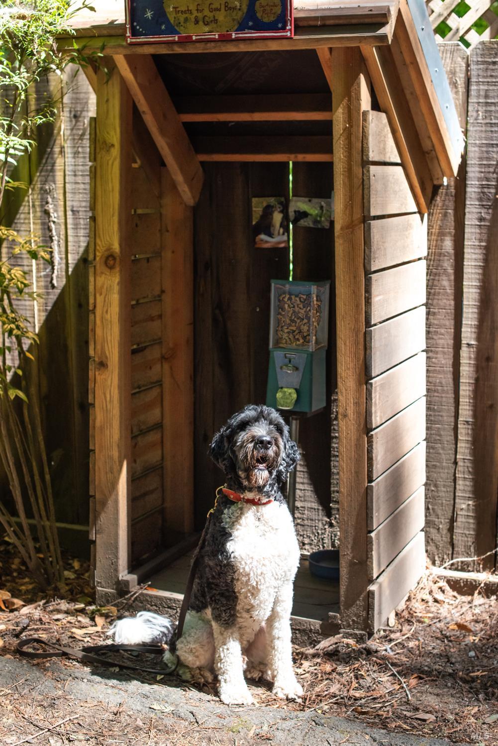 15521 Old Cazadero Road Guerneville CA 95446