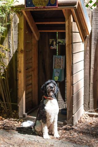 15521 Old Cazadero Road Guerneville CA 95446