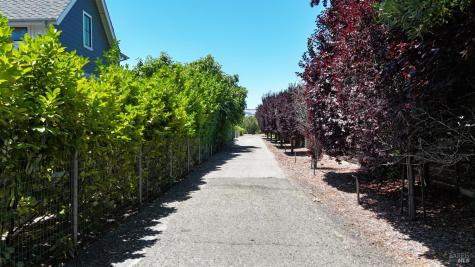 20523 Palmer Avenue Sonoma CA 95476