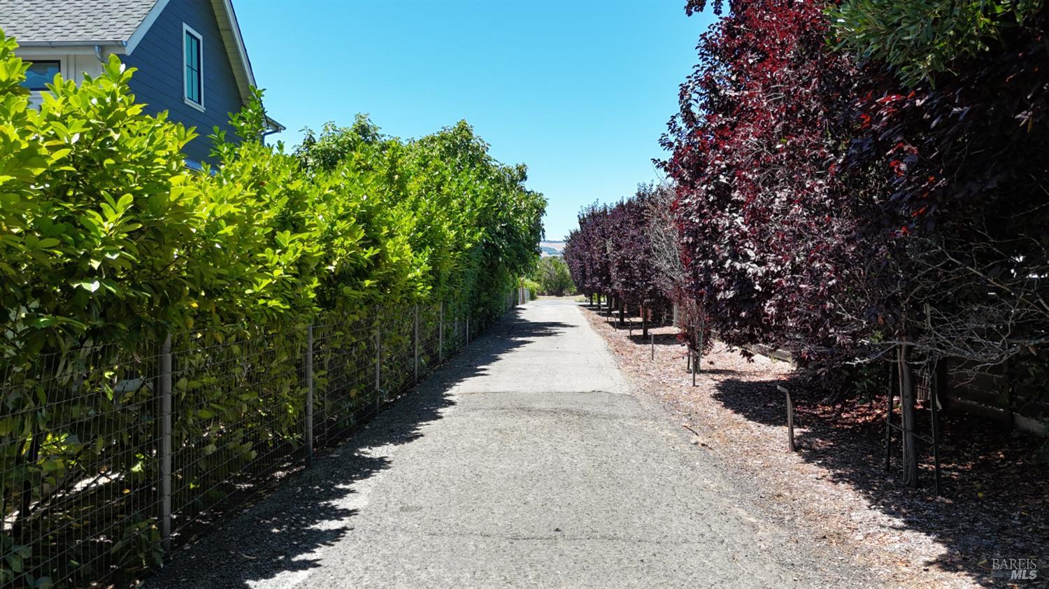 20523 Palmer Avenue Sonoma CA 95476