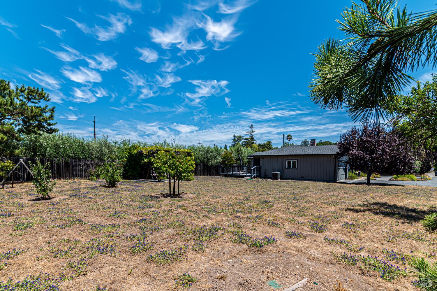 20523 Palmer Avenue Sonoma CA 95476