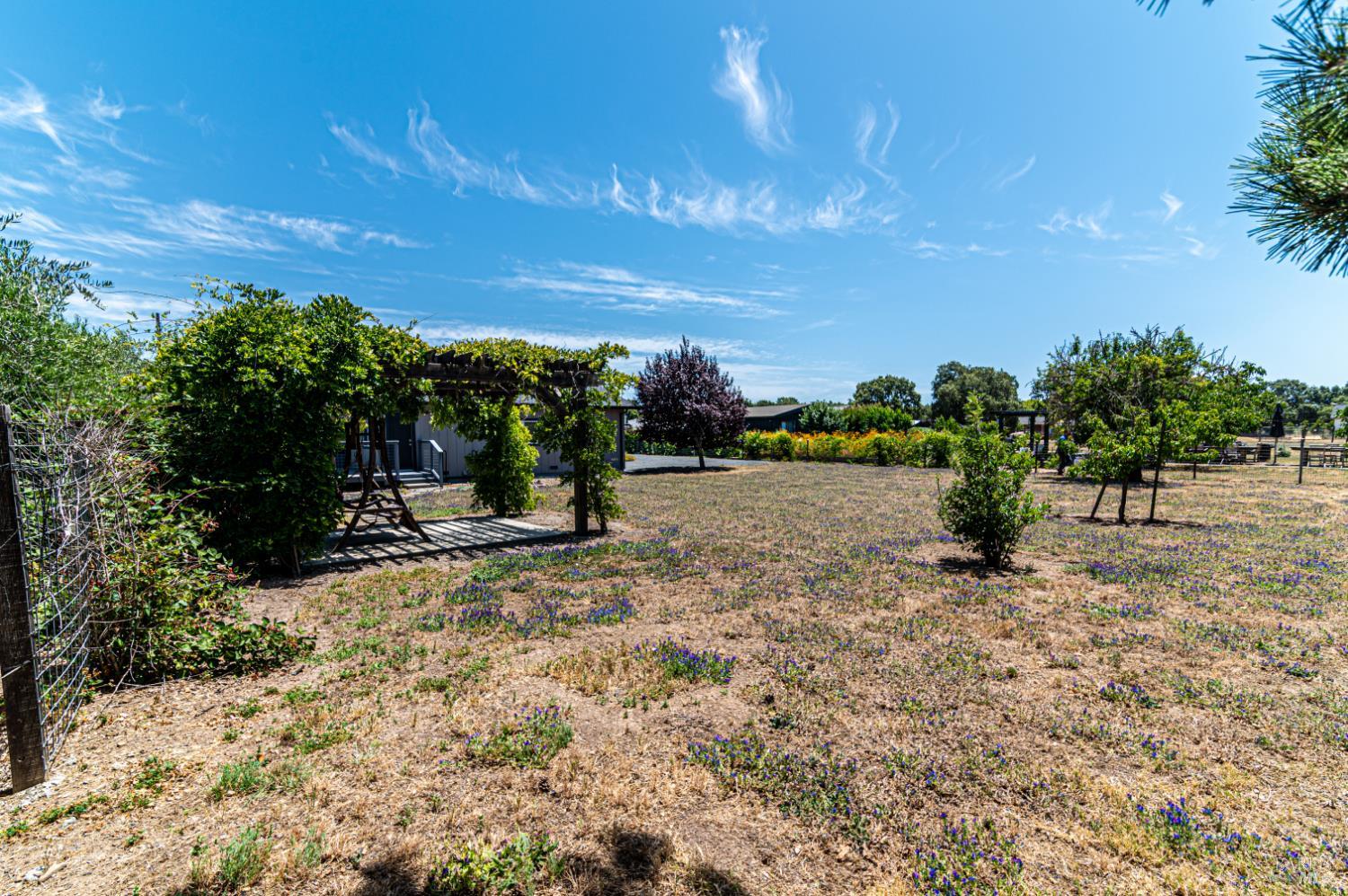 20523 Palmer Avenue Sonoma CA 95476