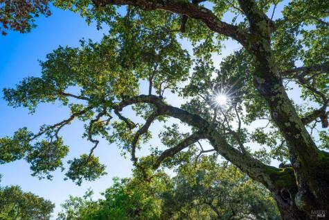 17355 Norrbom Road Sonoma CA 95476
