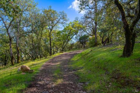 17355 Norrbom Road Sonoma CA 95476