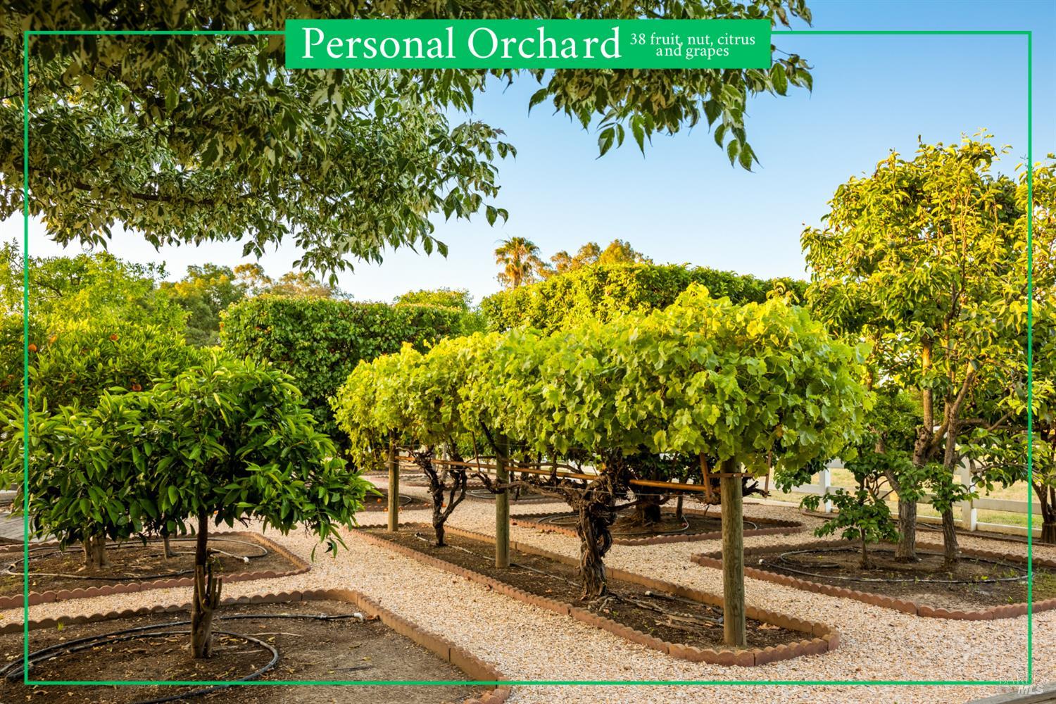 6811 Willow Road Vacaville CA 95687
